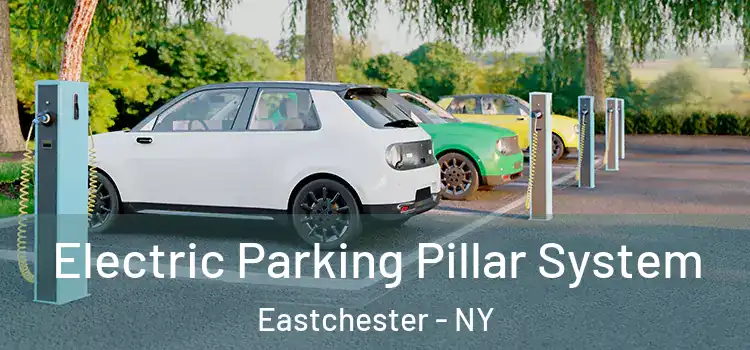  Electric Parking Pillar System Eastchester - NY