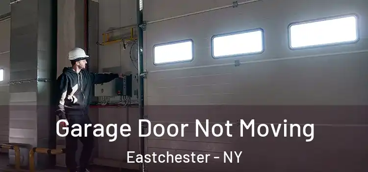  Garage Door Not Moving Eastchester - NY