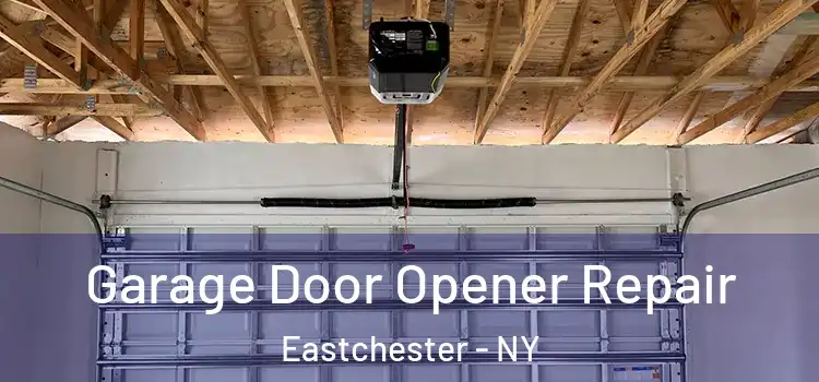  Garage Door Opener Repair Eastchester - NY