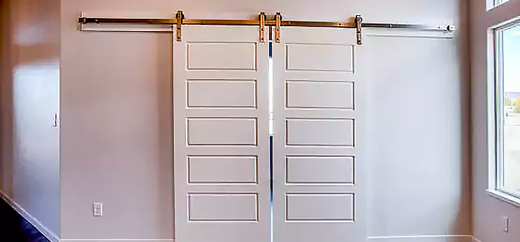 Glass Barn Door with Installation Hardware Kit Eastchester
