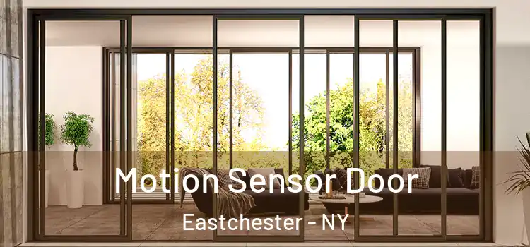  Motion Sensor Door Eastchester - NY